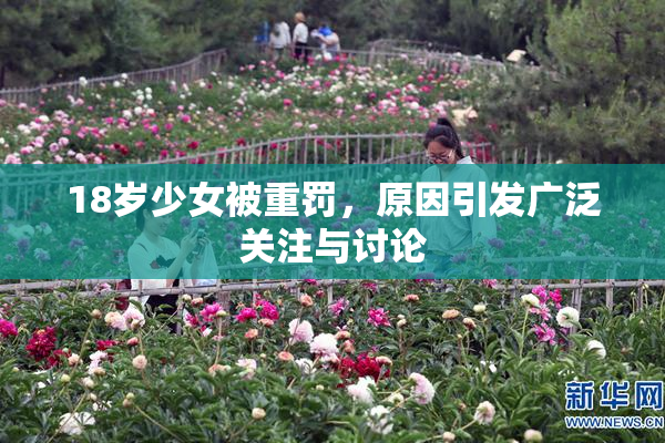 18岁少女被重罚，原因引发广泛关注与讨论