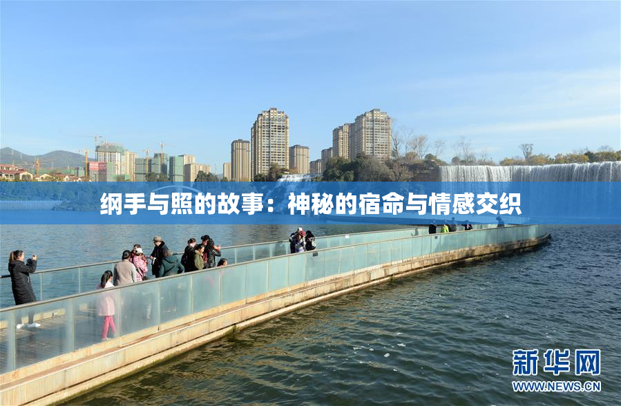 纲手与照的故事：神秘的宿命与情感交织