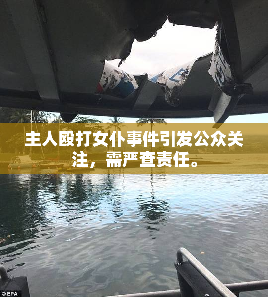 主人殴打女仆事件引发公众关注，需严查责任。