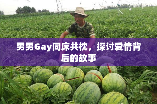 男男Gay同床共枕，探讨爱情背后的故事