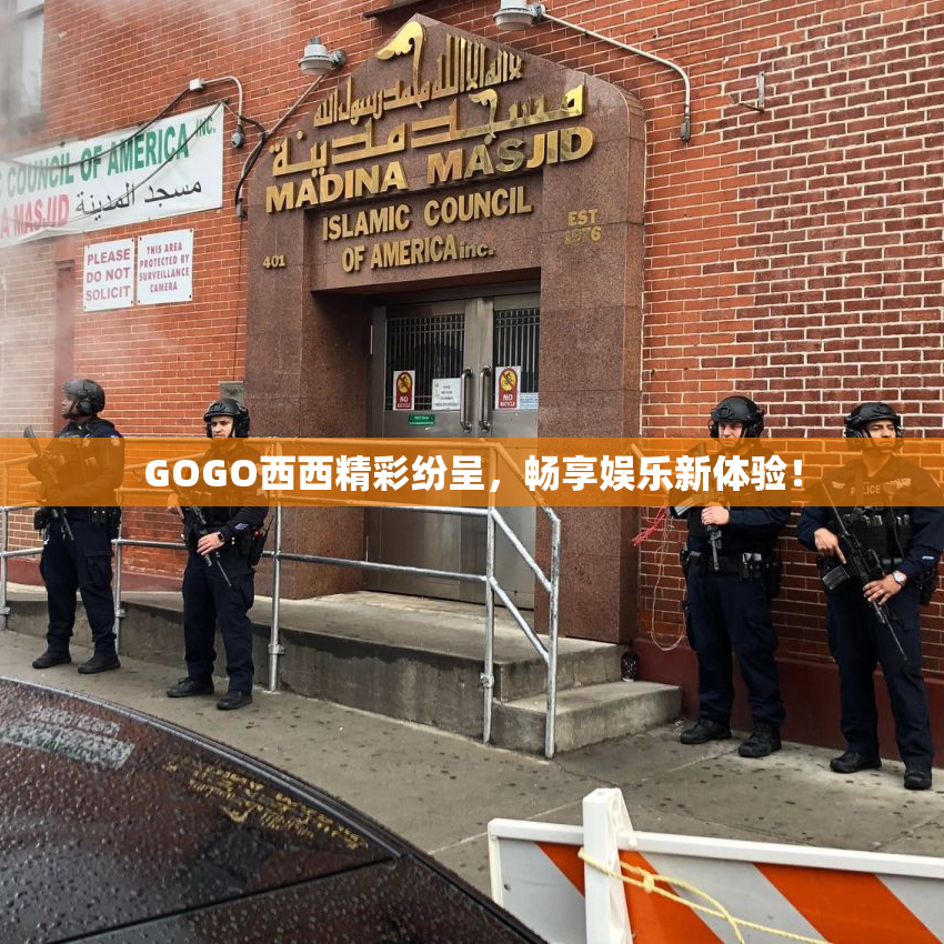 GOGO西西精彩纷呈，畅享娱乐新体验！