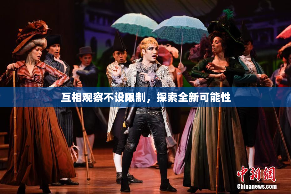 互相观察不设限制，探索全新可能性