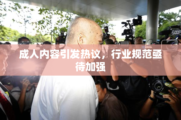 成人内容引发热议，行业规范亟待加强