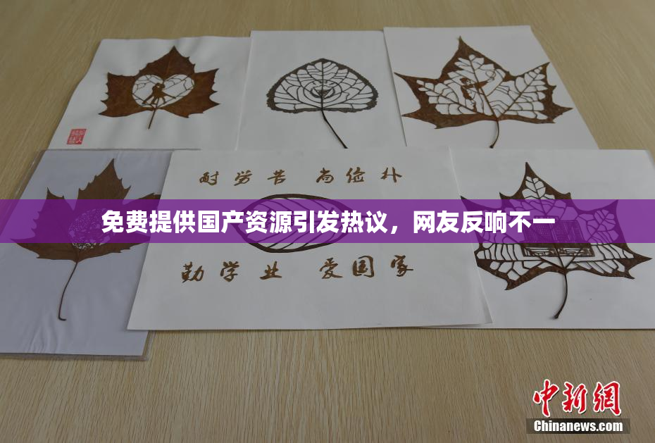 免费提供国产资源引发热议，网友反响不一