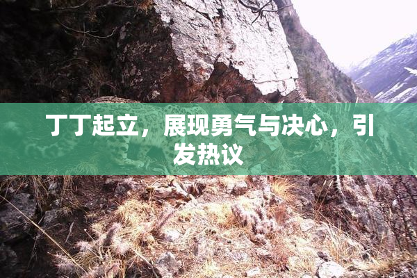 丁丁起立，展现勇气与决心，引发热议