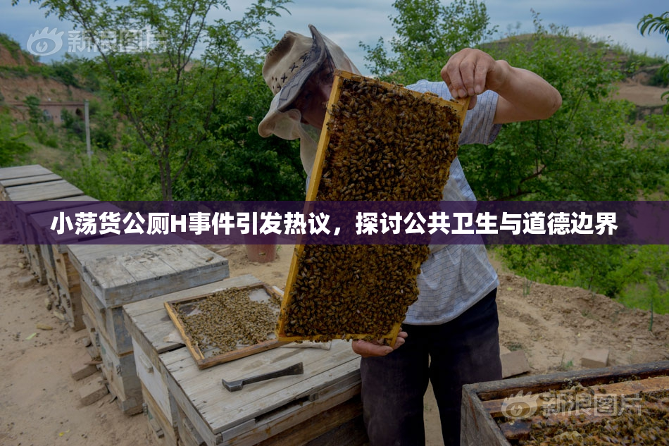 小荡货公厕H事件引发热议，探讨公共卫生与道德边界