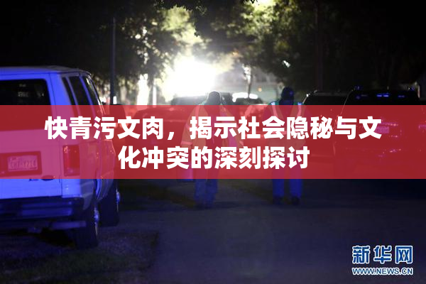 快青污文肉，揭示社会隐秘与文化冲突的深刻探讨