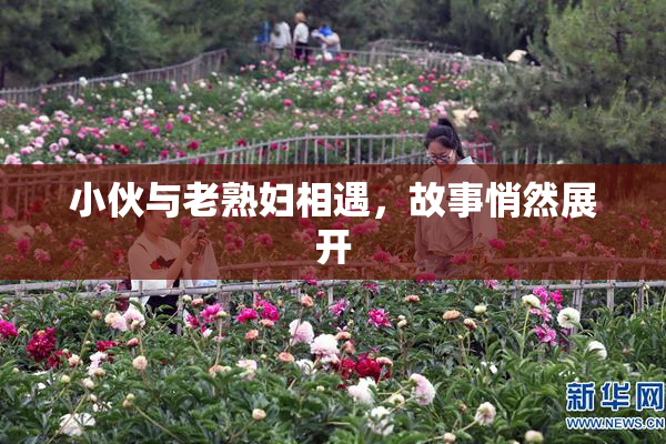 小伙与老熟妇相遇，故事悄然展开
