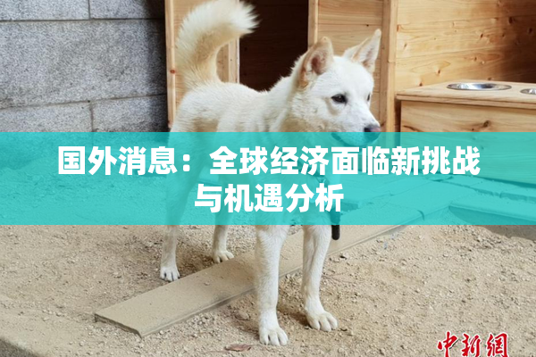 国外消息：全球经济面临新挑战与机遇分析