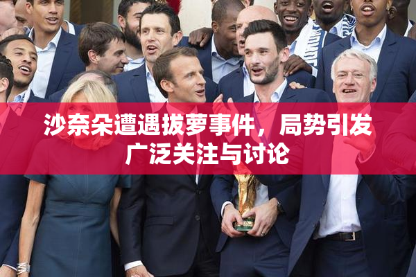 沙奈朵遭遇拔萝事件，局势引发广泛关注与讨论