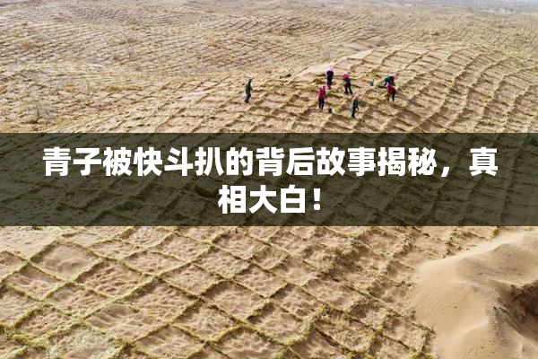青子被快斗扒的背后故事揭秘，真相大白！