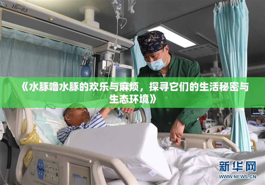 《水豚噜水豚的欢乐与麻烦，探寻它们的生活秘密与生态环境》