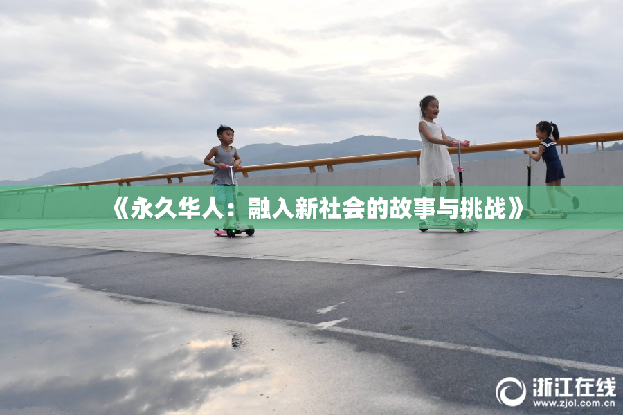 《永久华人：融入新社会的故事与挑战》