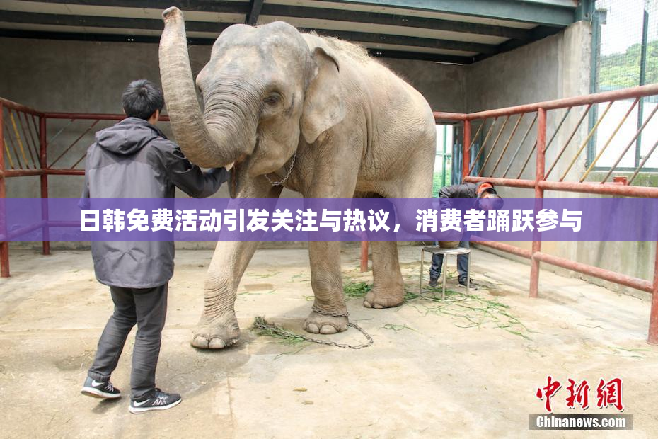 日韩免费活动引发关注与热议，消费者踊跃参与