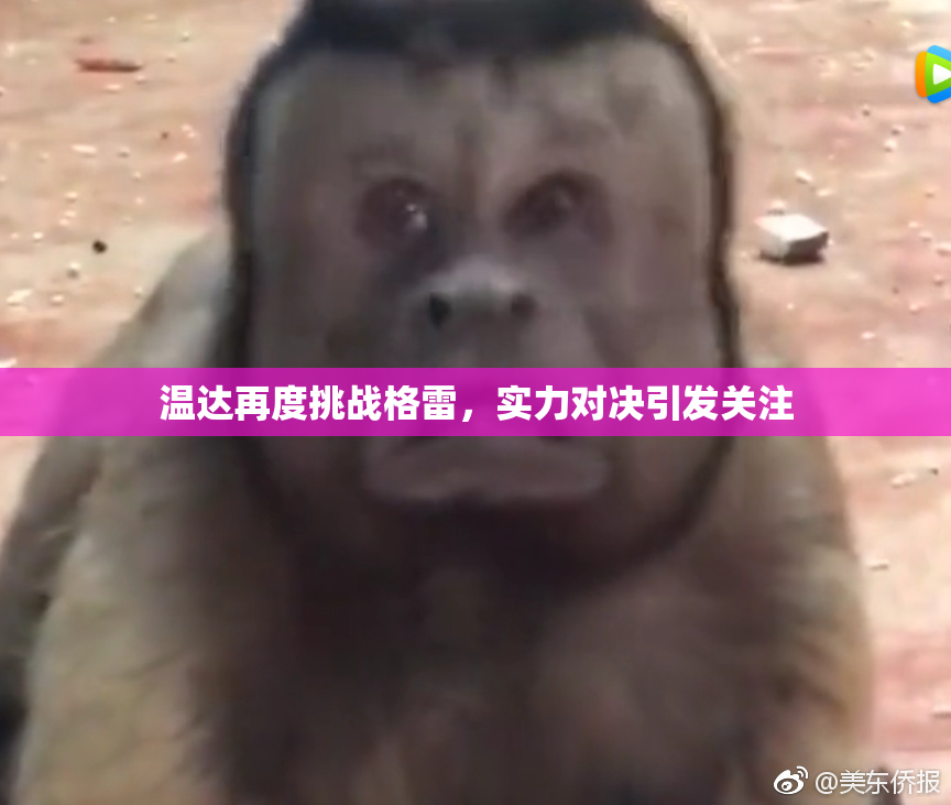 温达再度挑战格雷，实力对决引发关注