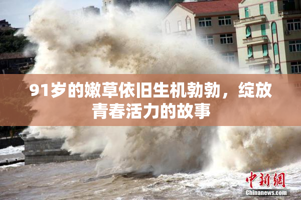 91岁的嫩草依旧生机勃勃，绽放青春活力的故事