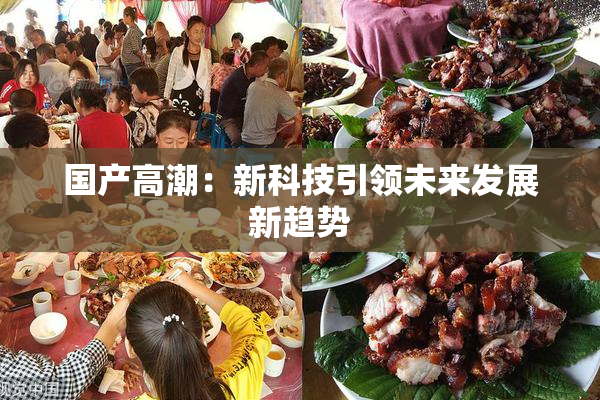 国产高潮：新科技引领未来发展新趋势