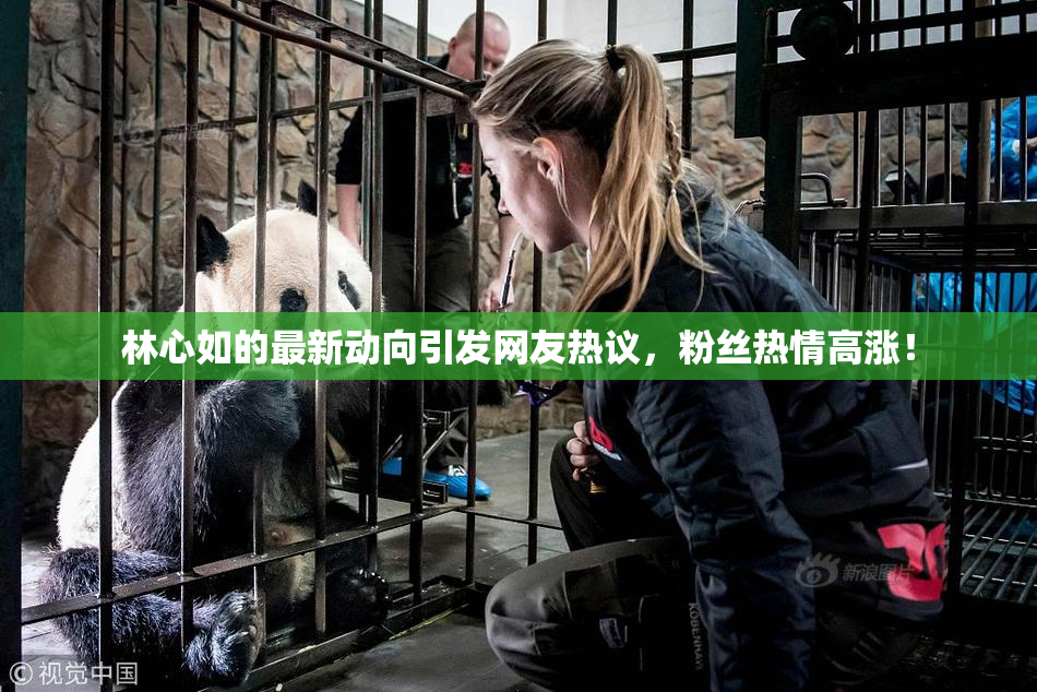 林心如的最新动向引发网友热议，粉丝热情高涨！