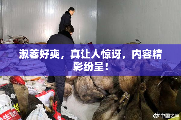 淑蓉好爽，真让人惊讶，内容精彩纷呈！