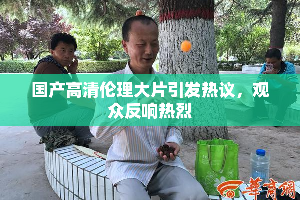 国产高清伦理大片引发热议，观众反响热烈