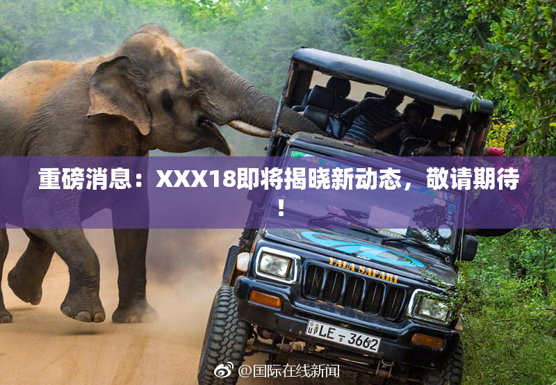 重磅消息：XXX18即将揭晓新动态，敬请期待！