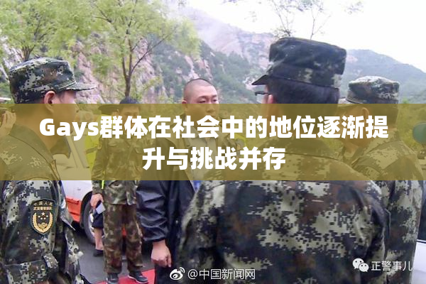 Gays群体在社会中的地位逐渐提升与挑战并存