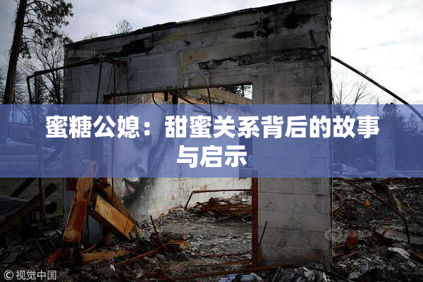 蜜糖公媳：甜蜜关系背后的故事与启示