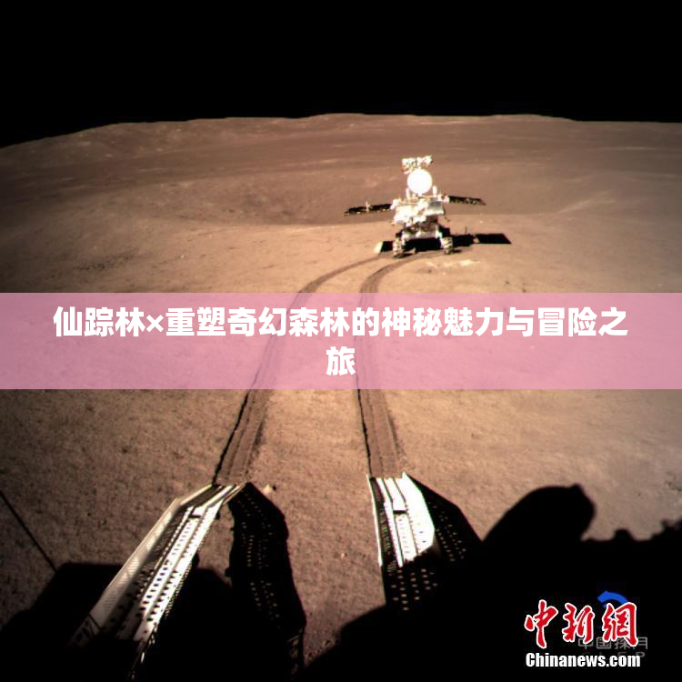 仙踪林×重塑奇幻森林的神秘魅力与冒险之旅