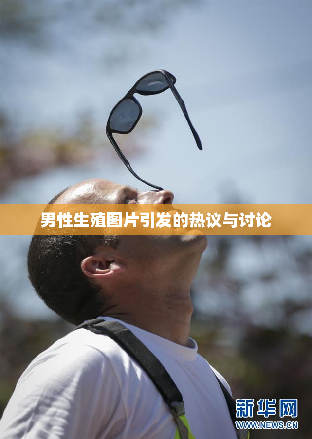 男性生殖图片引发的热议与讨论