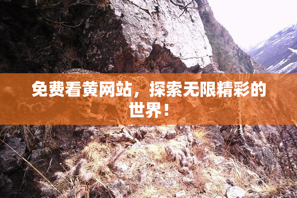 免费看黄网站，探索无限精彩的世界！