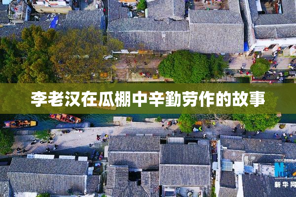 李老汉在瓜棚中辛勤劳作的故事