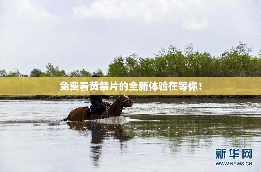 免费看黄禁片的全新体验在等你！