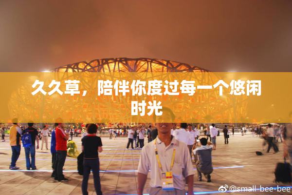 久久草，陪伴你度过每一个悠闲时光