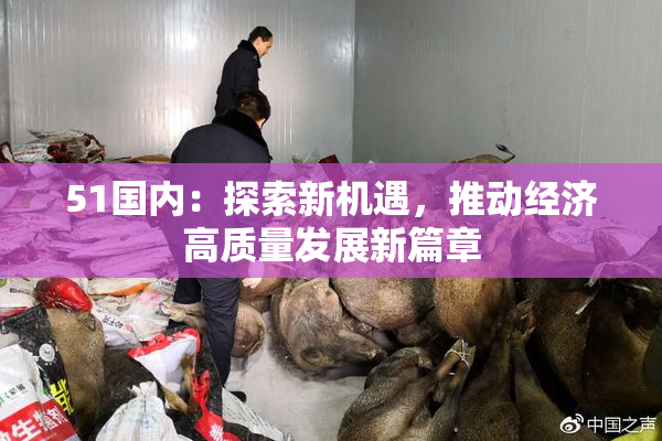 51国内：探索新机遇，推动经济高质量发展新篇章