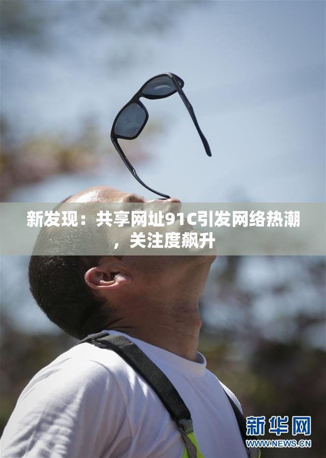 新发现：共享网址91C引发网络热潮，关注度飙升