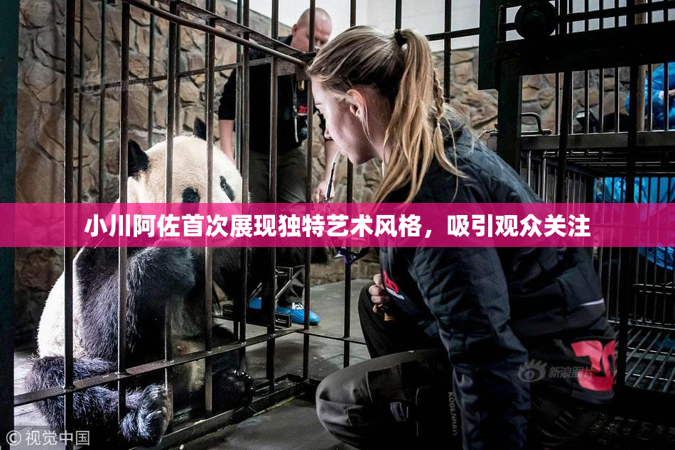 小川阿佐首次展现独特艺术风格，吸引观众关注