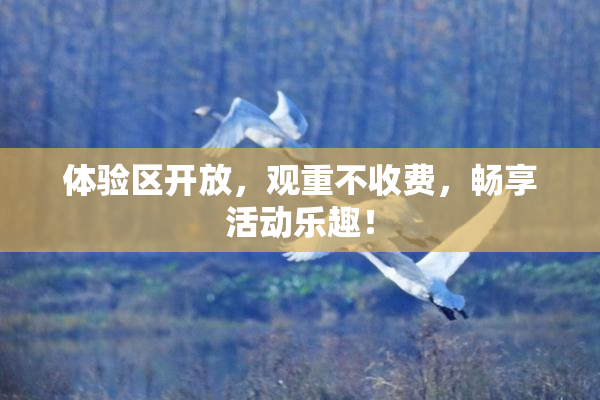 体验区开放，观重不收费，畅享活动乐趣！