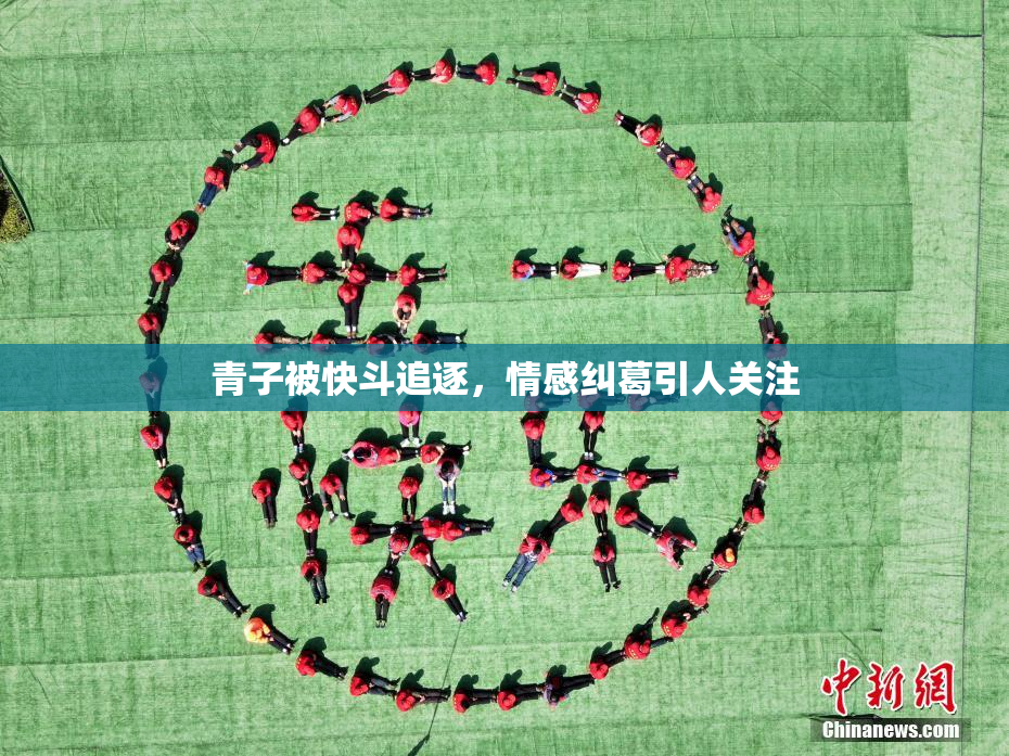 青子被快斗追逐，情感纠葛引人关注