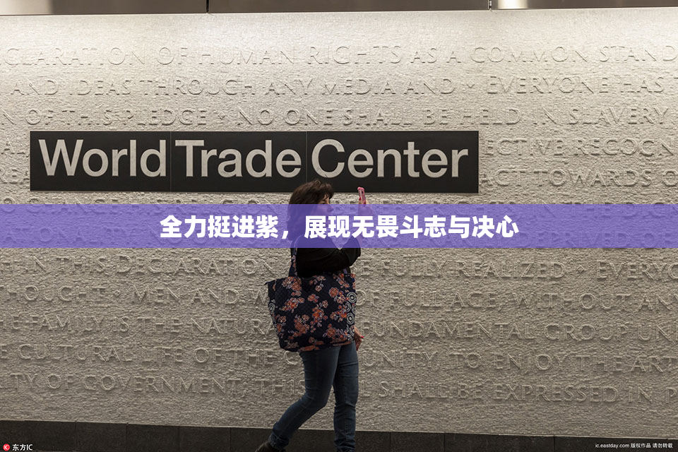 全力挺进紫，展现无畏斗志与决心