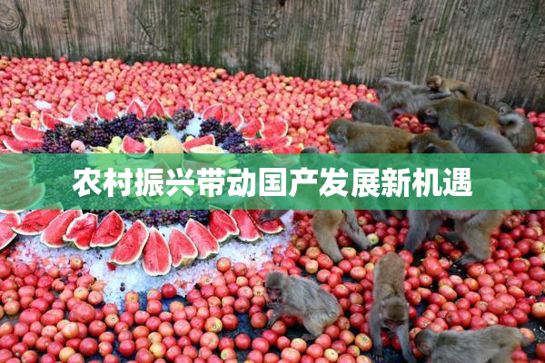 农村振兴带动国产发展新机遇