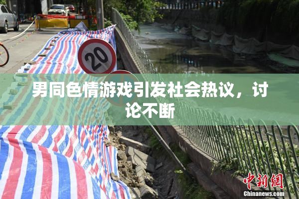 男同色情游戏引发社会热议，讨论不断