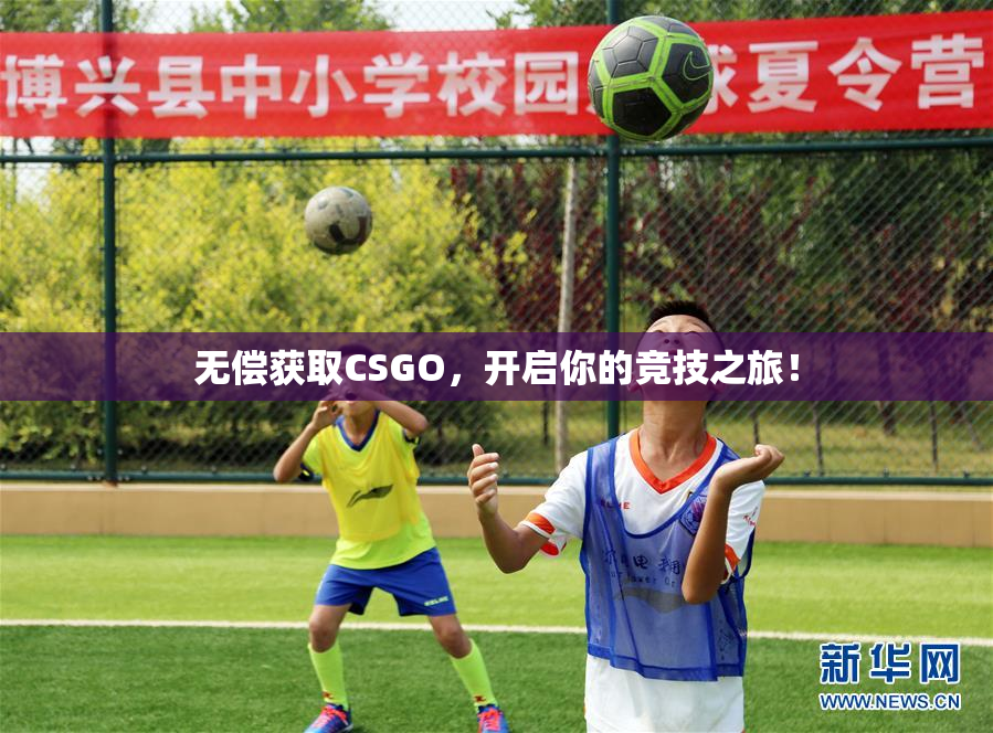 无偿获取CSGO，开启你的竞技之旅！