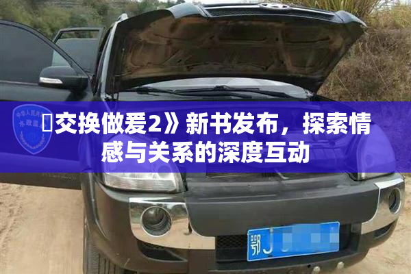 巜交换做爰2》新书发布，探索情感与关系的深度互动