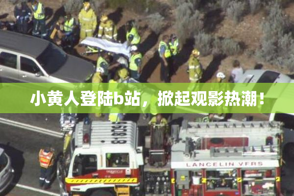小黄人登陆b站，掀起观影热潮！