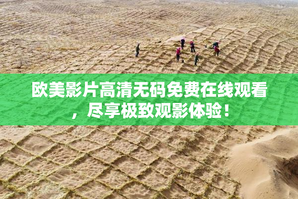 欧美影片高清无码免费在线观看，尽享极致观影体验！