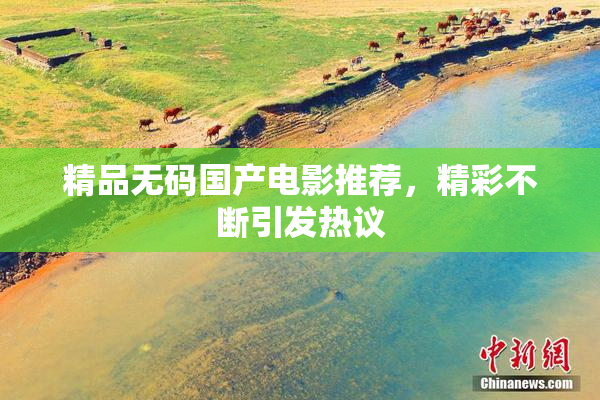 精品无码国产电影推荐，精彩不断引发热议