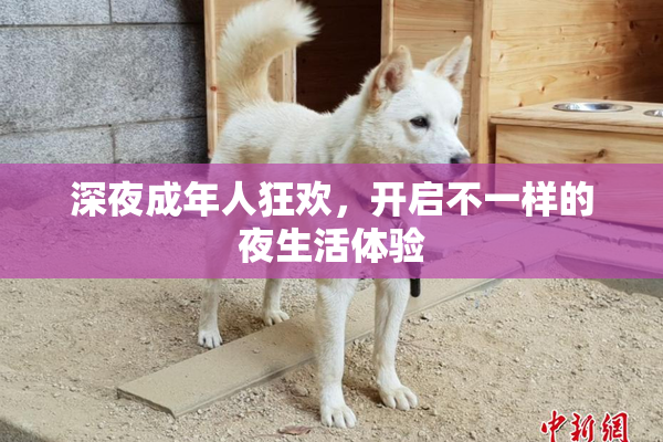 深夜成年人狂欢，开启不一样的夜生活体验