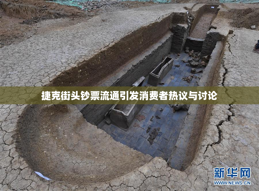 捷克街头钞票流通引发消费者热议与讨论