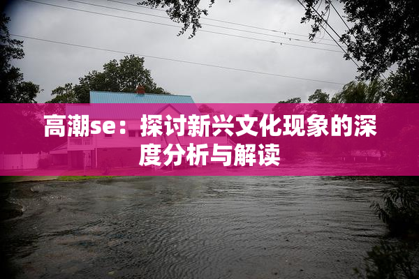 高潮se：探讨新兴文化现象的深度分析与解读