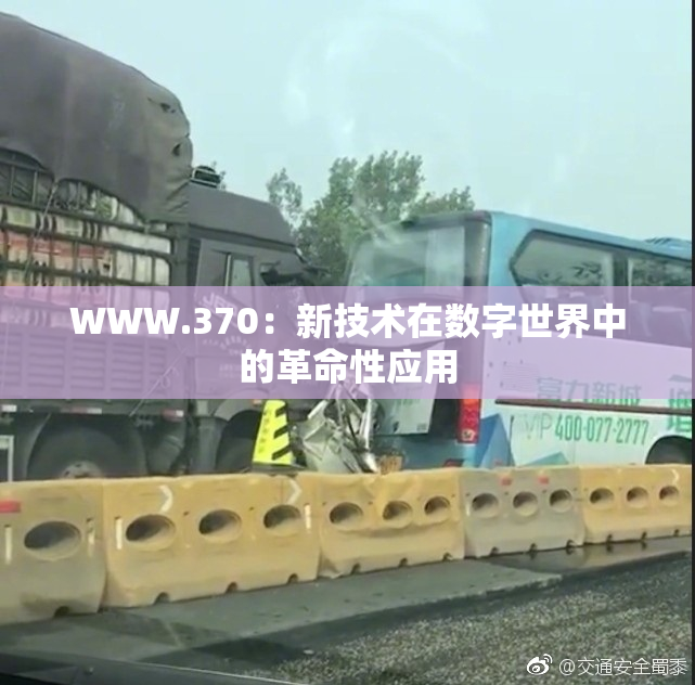 WWW.370：新技术在数字世界中的革命性应用